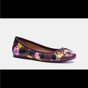 Coach Floral Ballet Flats